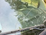 un chat assis sur le pare-brise d'une voiture