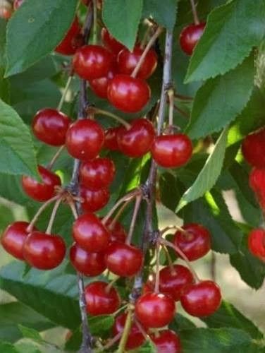 Destockage & Invendus