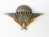 an image of a badge with a star on it