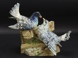 deux oiseaux perchés sur un morceau de bois