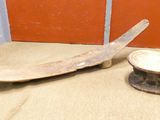 un skateboard et un bol posés par terre