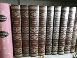 several books are lined up on a shelf in a library
