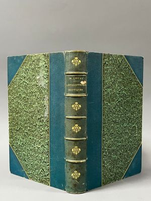 [Entomologie]. LUCAS (H.). Histoire naturelle des lépidoptèr…