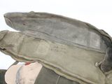 a bag that has a pair of shoes inside of it