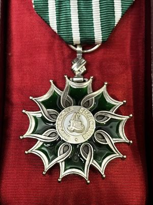 une médaille dans une boîte, entourée d'un ruban