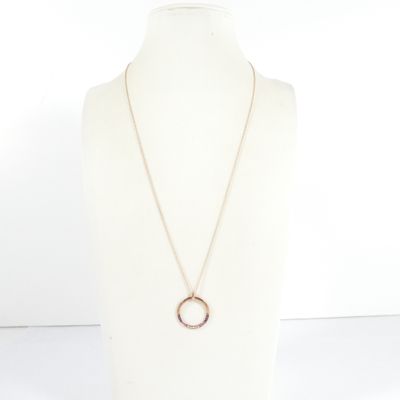a white mannequin torso with a necklace with a circular pendant on it