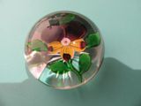 a glass ball with a picture of a flower inside of it