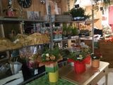 many different types of flowers on display in the store