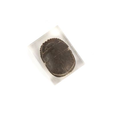 a small piece of chocolate in a plastic bag