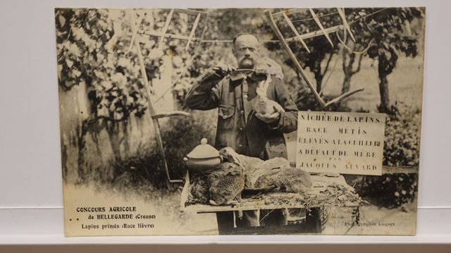 Bellegarde en Marche : Concours agricole. Élevage Jacques Alvard....