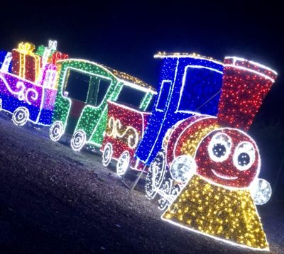 a train that is decorated with christmas lights on the side of the road
