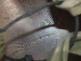a close up of a person ' s face through a window