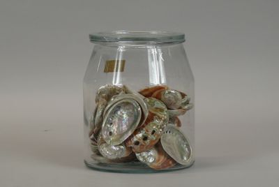 a glass jar filled with shells and seashells on a table