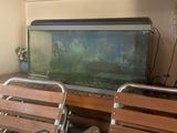 un aquarium posé au milieu d'une table entourée de chaises