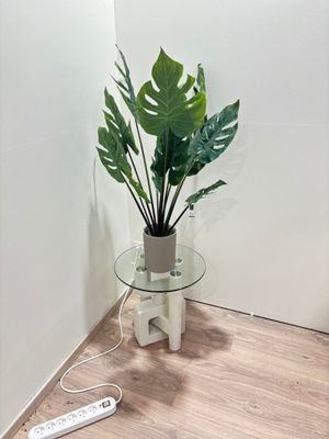 Bout de canapé en verre et résine, plante artificielle COCO … - Photo 1