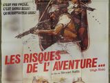 a poster for the movie les risques de l ' adventure