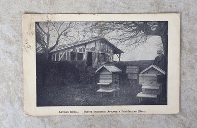 une vieille photo en noir et blanc montrant des ruches devant une maison