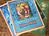 three children ' s books on a table with a tiger in the background