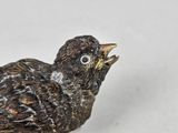 a small bird that is sitting on a white surface