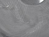 a clear glass plate with a circular design on it