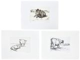 trois gravures représentant des vaches dans un champ, dont l'une est couchée