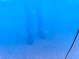 two scuba divers in the water with their feet in the water