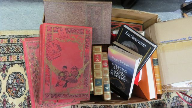 Un carton de livres divers, dont livres de prix, livre reliés et ...