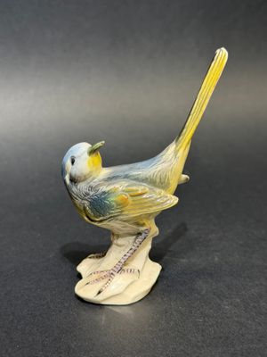 a small yellow and blue bird sitting on top of a piece of paper