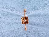 an image of a dog charm on a blue towel