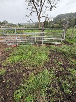 un portail ouvert au milieu d'un champ, avec un arbre en arrière-plan