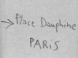 the cover of a book with a picture of a plane and the words place dauphine paris written on it