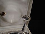 a silver spoon and a silver bowl in a case