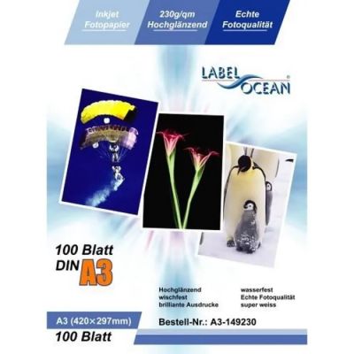 une affiche représentant une photo d'un poisson dans l'océan