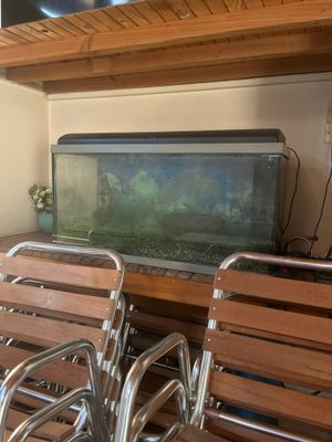 un aquarium posé au milieu d'une table entourée de chaises