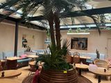 tables and chairs in a restaurant with a palm tree in the center