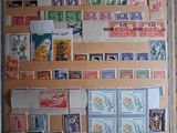 Il y a de nombreux timbres différents accrochés au mur dans cette pièce.
