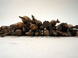 a pile of nuts on a white surface with a white background