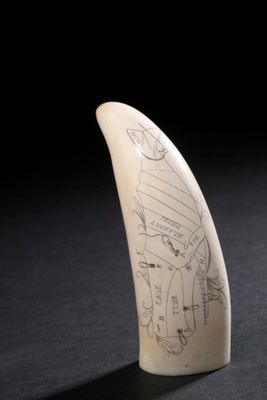 une dent blanche sur laquelle est dessiné un motif, posée sur une table