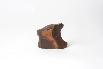 an image of a piece of wood that is sitting on a white surface