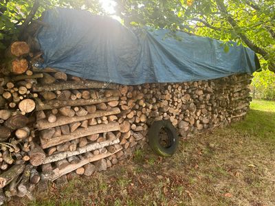 un tas de bois posé dans l'herbe