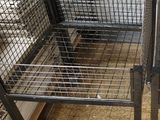 plusieurs cages posées à même le sol dans une pièce
