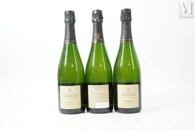 trois bouteilles de vin posées les unes à côté des autres sur une surface blanche