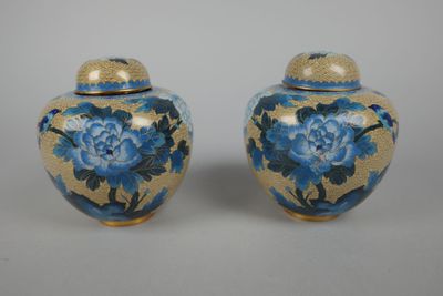 pair of blue and gold vases with blue flowers on them