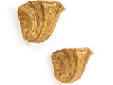 deux morceaux de bois sont posés sur une surface blanche
