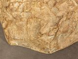 a large rock that is sitting on a table