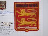 a red and gold patch with a lion on it
