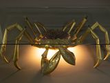 a glass table with a gold spider on it