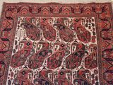 an oriental rug with a paisley design on a white background