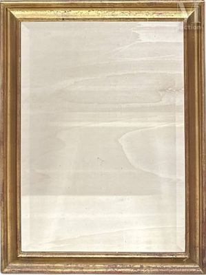 an antique gold frame with a white background