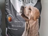 two bags of dog food sitting on a white couch
